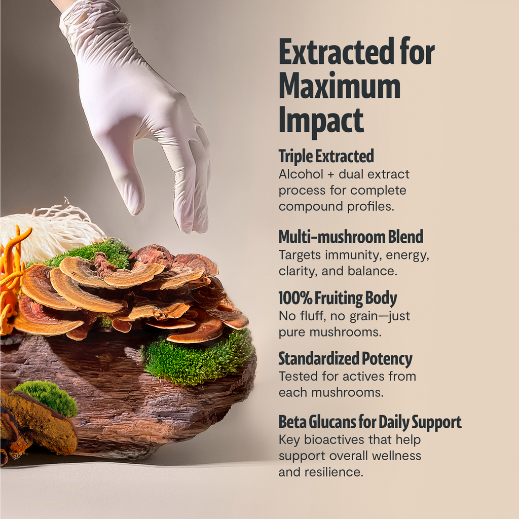 Organic Mushroom Complex Supplement Capsules