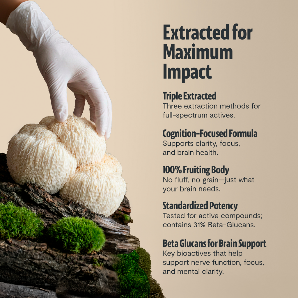 Organic Mushroom Complex Supplement Capsules