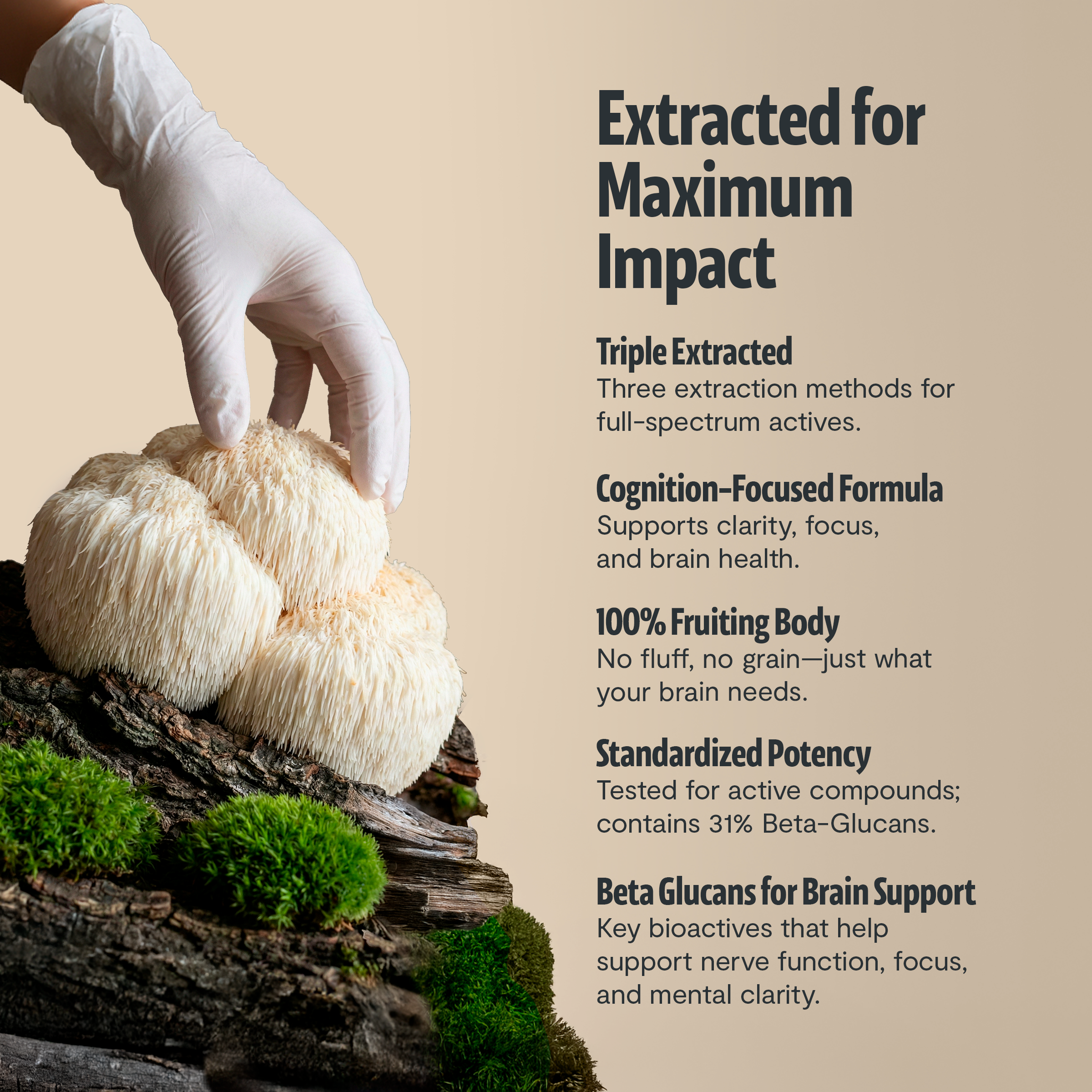 Organic Mushroom Complex Supplement Capsules